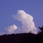 Wolke – Symbol der Suche nach vermissten Tieren