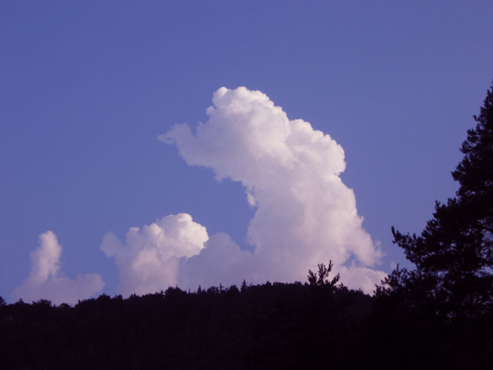 Wolke – Symbol der Suche nach vermissten Tieren