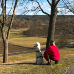 Lichtpfoten Tierkommunikation – Symbolbild von Mensch und Hund, die zusammen in die Ferne schauen