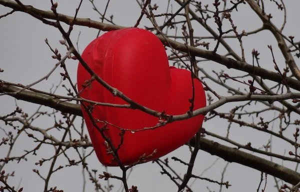 Herz, das am Baum hängt