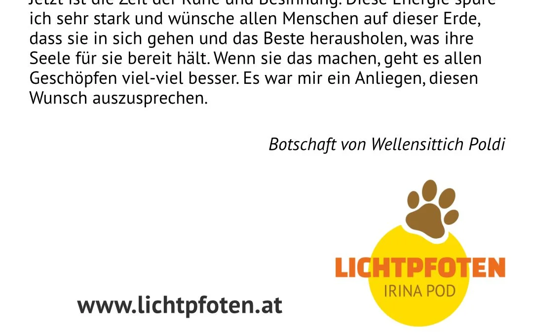 Botschaft von Wellensittich Poldi zu Weihnachten