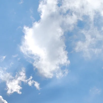 Akasha-Readings bei Lichtpfoten Symbolbild für Akasha – Himmel – Lichtpfoten