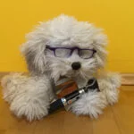 Symbolbild: Ein Plüschhund mit Brille und Stethoskop (Diagnose unmöglich, das Tier ist kein Arzt). Bild: Lichtpfoten Tierenergetik